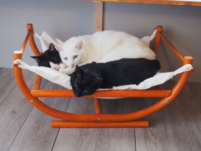 1˂̒j̎qɖYuƁALm[An`LO̓