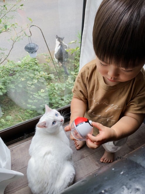 1˂̒j̎qɖYuƁALm[An`LO̓