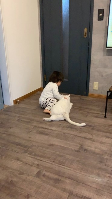 1˂̒j̎qɖYuƁALm[An`LO̓