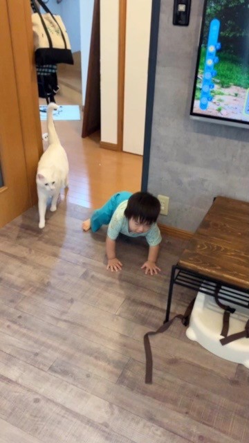 1˂̒j̎qɖYuƁALm[An`LO̓