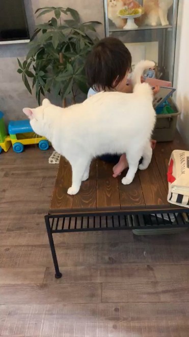 1˂̒j̎qɖYuƁALm[An`LO̓