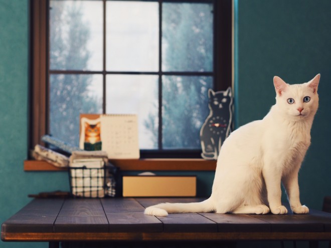 1˂̒j̎qɖYuƁALm[An`LO̓