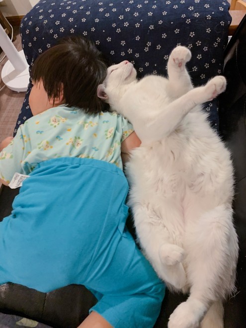 1˂̒j̎qɖYuƁALm[An`LO̓