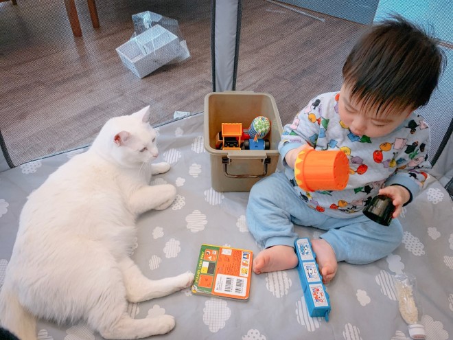 1˂̒j̎qɖYuƁALm[An`LO̓