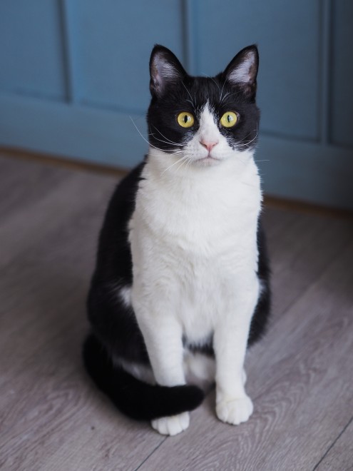 1˂̒j̎qɖYuƁALm[An`LO̓