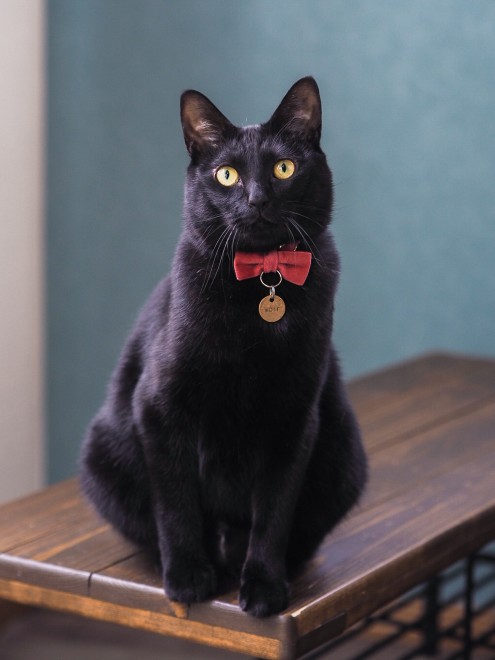 1˂̒j̎qɖYuƁALm[An`LO̓