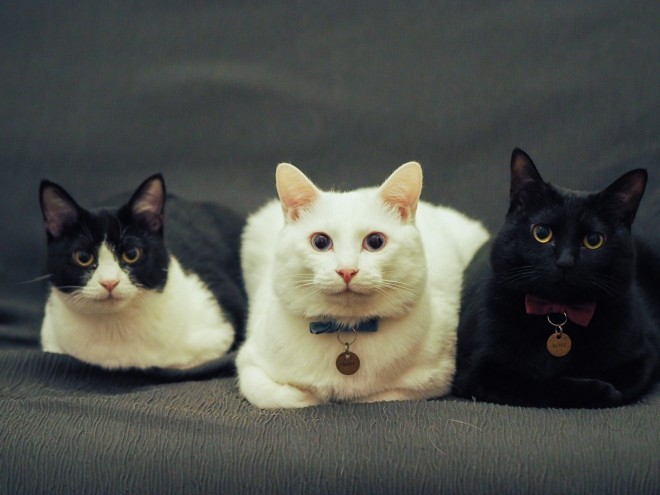 1˂̒j̎qɖYuƁALm[An`LO̓