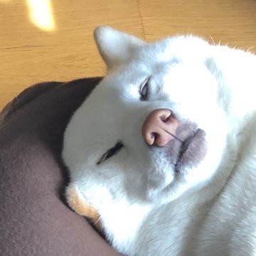 OӊOƂ邱ƁAȂƂȂڂł邱ƂɔW܂