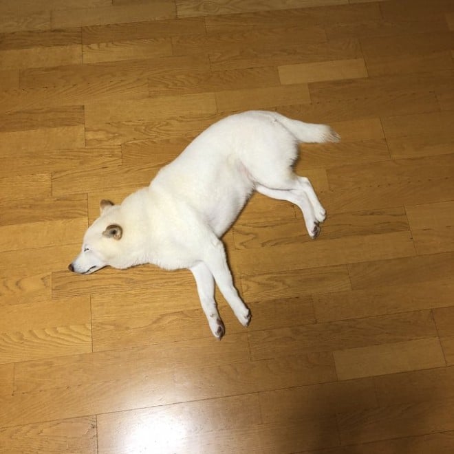 g[ł邱ƂɋCÂĂ܂`r