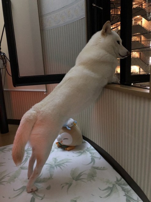 Ď̎d͌ߌ`ɋyԂƂBƂɂ͂fƂDȗlq