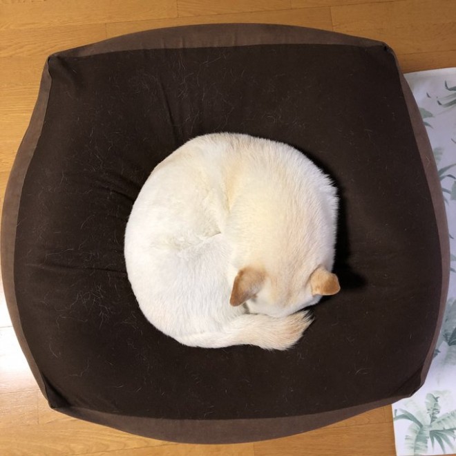 ۂ܂Ăp킢`rBƂقǊۂȂƂ