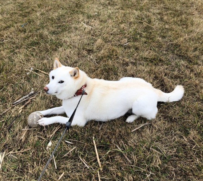 u낻A܂񂩁HvƎ傳񂪖₢Ƃ̊