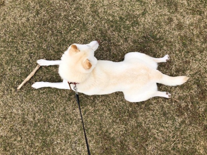 _𗣂ȂǁAނCɂȂĂ܂`r