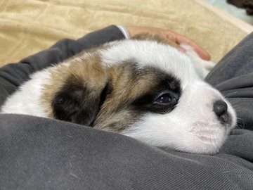 �����傳��ɊÂ���e��