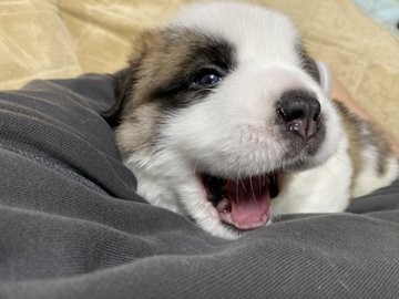 �����傳��ɊÂ���e��