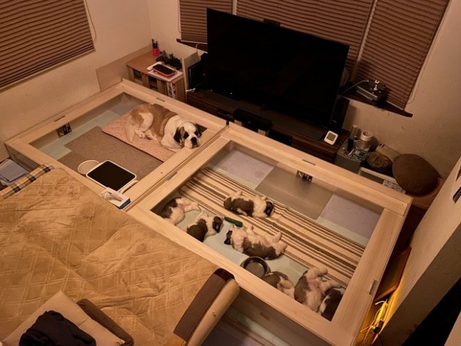 �Q�Â܂����e������