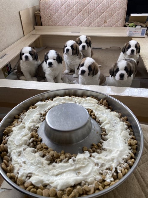 �H�ו�������鎔���傳��������ƌ��߂�e������