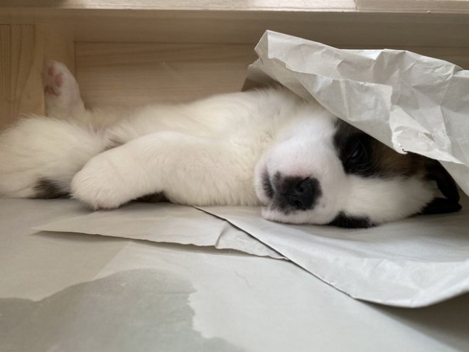 �����Ă���e��