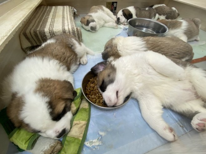 �X���X������e������