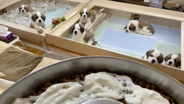 ���т��������ƂɋC���t���e������