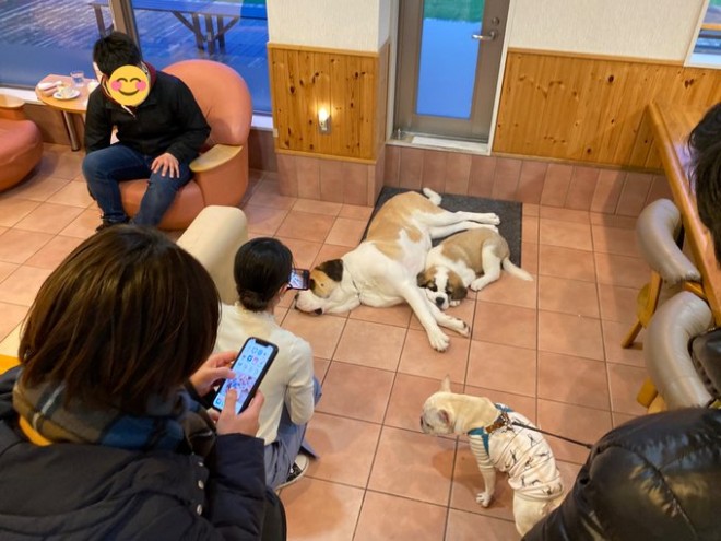 �Z���g�E�o�[�i�[�h7�C�̎e������ �h�^�o�^�ȓ���ɂق�����