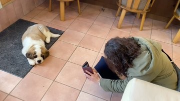 �Z���g�E�o�[�i�[�h7�C�̎e������ �h�^�o�^�ȓ���ɂق�����