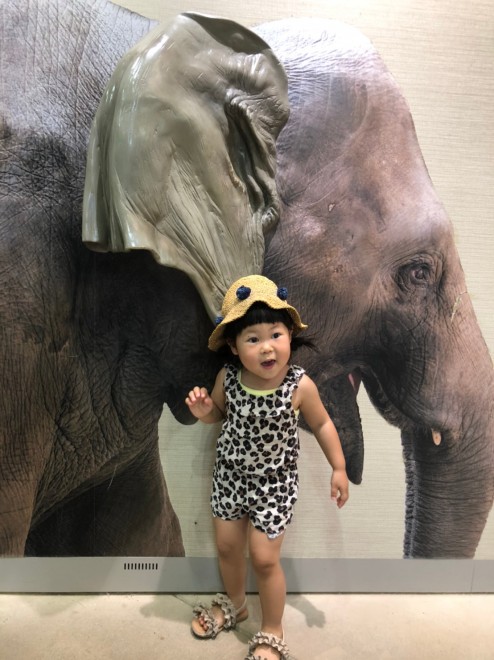 Ƒ΂킹̂ŁAӂĂƂ3˂̖