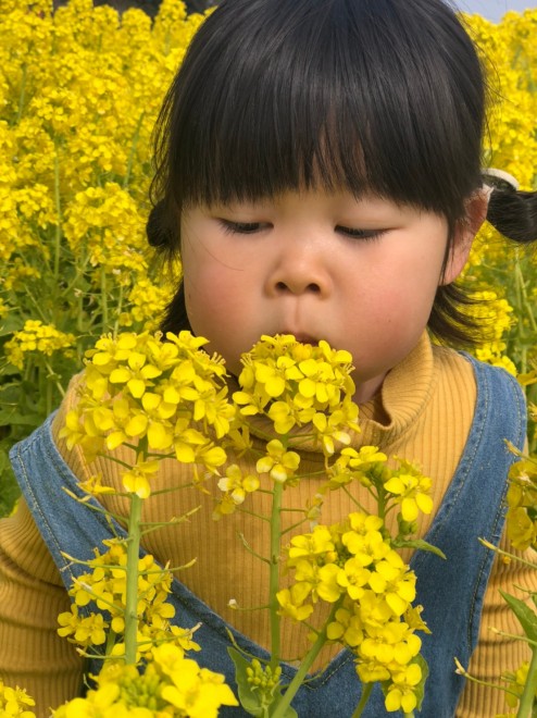 Ƒ΂킹̂ŁAӂĂƂ3˂̖