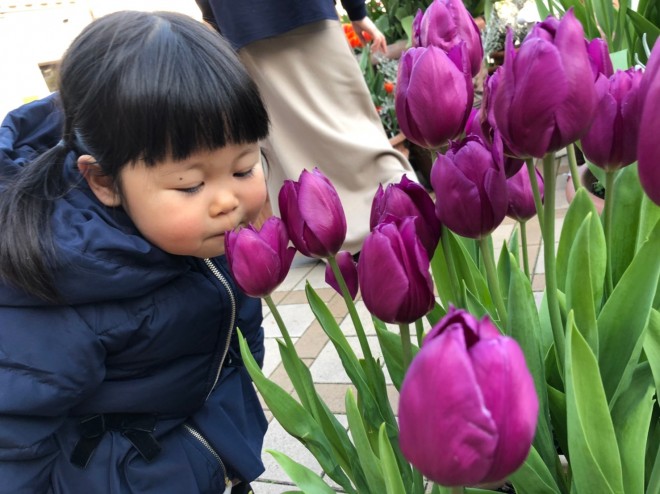 Ƒ΂킹̂ŁAӂĂƂ3˂̖