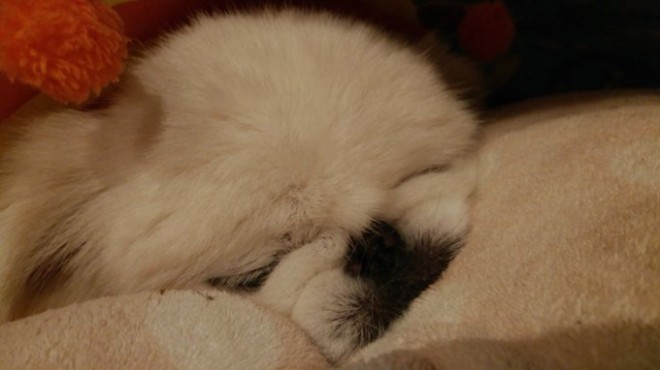 ���葱���邢�ʂ�����