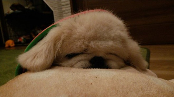 ���葱���邢�ʂ�����