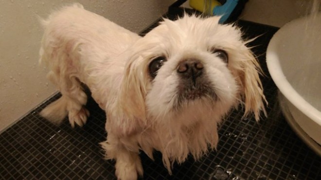 �z���C�e�B���ʂ�����̓���