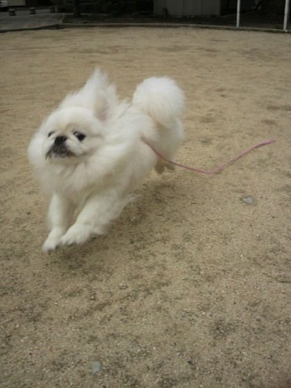 �����邢�ʂ�����