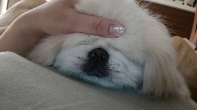 �����傳��ɂȂł��邢�ʂ�����