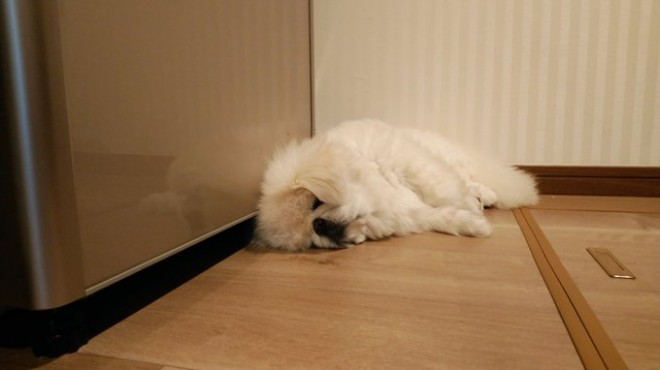 ���葱����A���ʂ�����