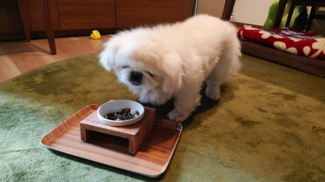 ���䑏���Ɏ��Ă�H���ʂ�����