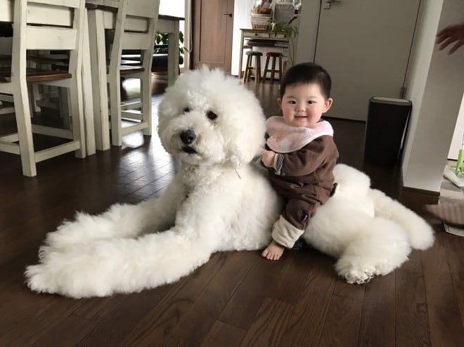 Ԃ̍猢ƂƂɉ߂ĂoE܂߂ƒEށ[ނ