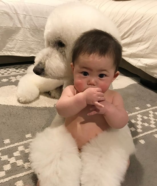 Ԃ̍猢ƂƂɉ߂ĂoE܂߂ƒEށ[ނ