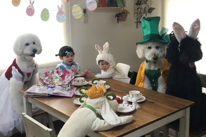 Ԃ̍猢ƂƂɉ߂ĂoE܂߂ƒEށ[ނ