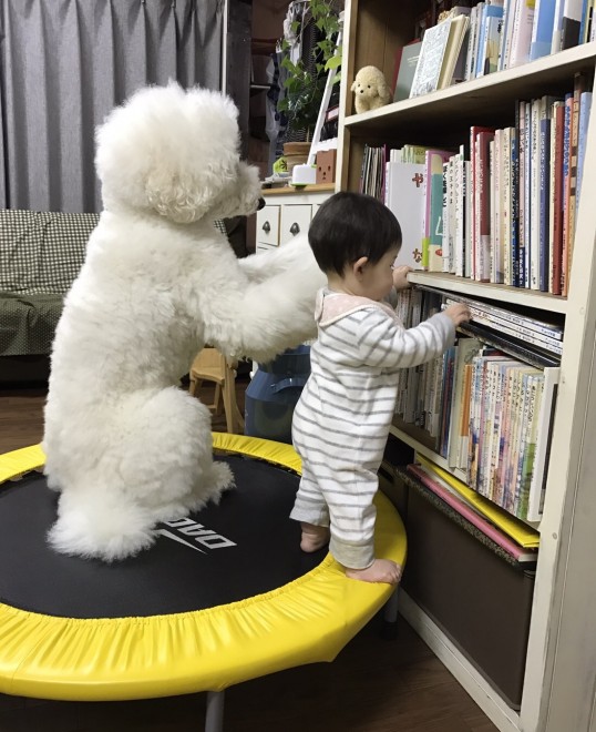 Ԃ̍猢ƂƂɉ߂ĂoE܂߂ƒEށ[ނ