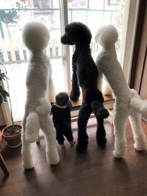 Ԃ̍猢ƂƂɉ߂ĂoE܂߂ƒEށ[ނ