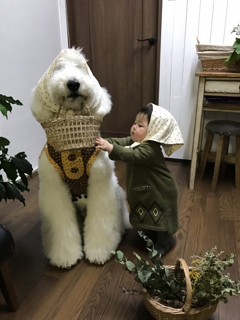 Ԃ̍猢ƂƂɉ߂ĂoE܂߂ƒEށ[ނ