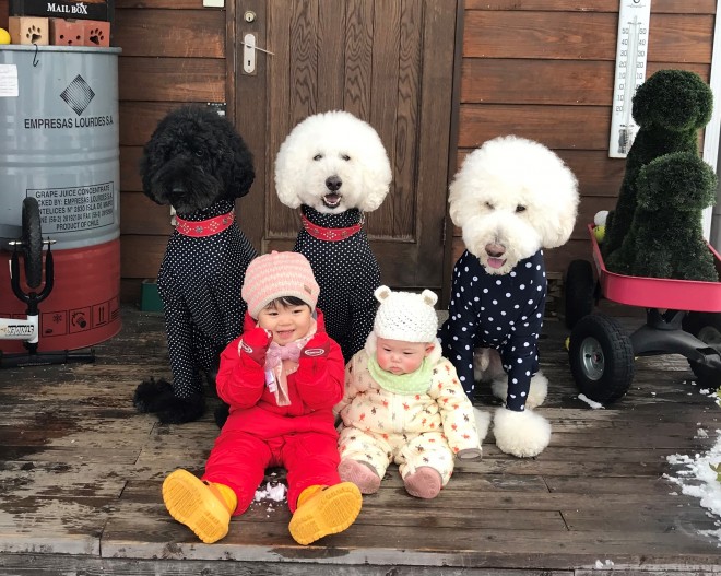 Ԃ̍猢ƂƂɉ߂ĂoE܂߂ƒEށ[ނ