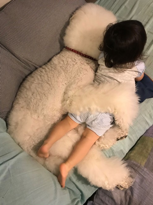 Ԃ̍猢ƂƂɉ߂ĂoE܂߂ƒEށ[ނ