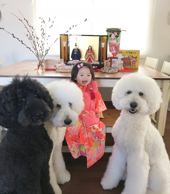 Ԃ̍猢ƂƂɉ߂ĂoE܂߂ƒEށ[ނ