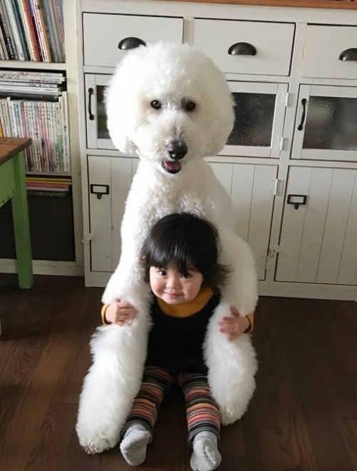 Ԃ̍猢ƂƂɉ߂ĂoE܂߂ƒEށ[ނ