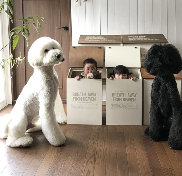 Ԃ̍猢ƂƂɉ߂ĂoE܂߂ƒEށ[ނ