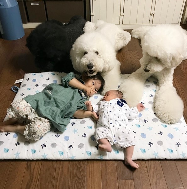 Ԃ̍猢ƂƂɉ߂ĂoE܂߂ƒEށ[ނ