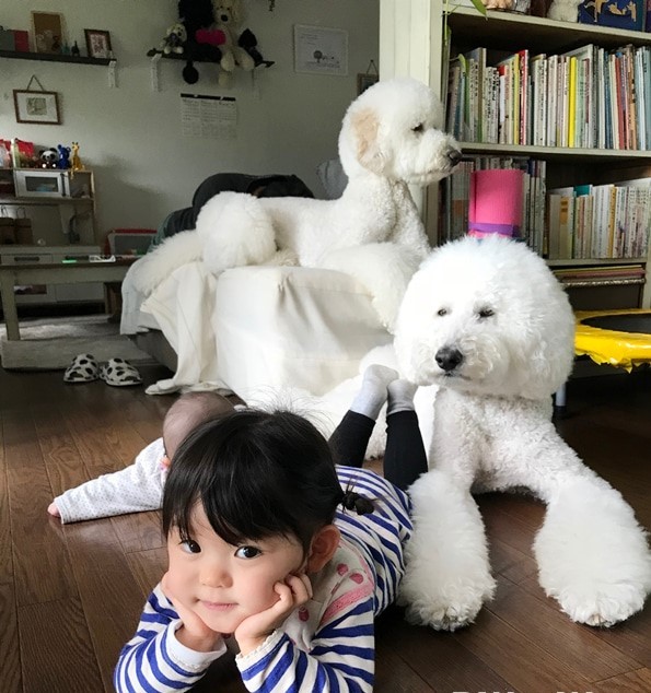 Ԃ̍猢ƂƂɉ߂ĂoE܂߂ƒEށ[ނ