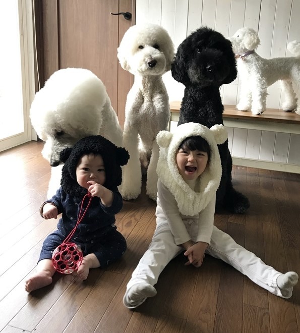 Ԃ̍猢ƂƂɉ߂ĂoE܂߂ƒEށ[ނ